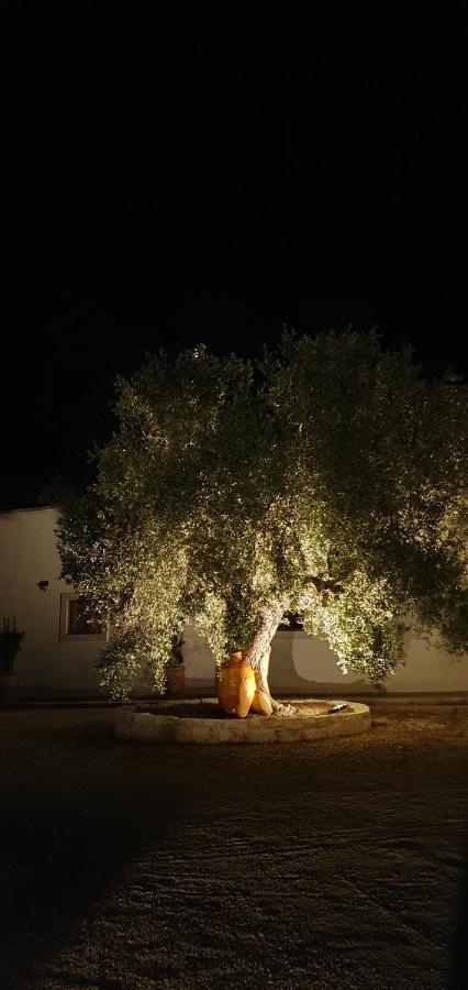 Masseria Cesarina B&B カステッラーナ・グロッテ エクステリア 写真