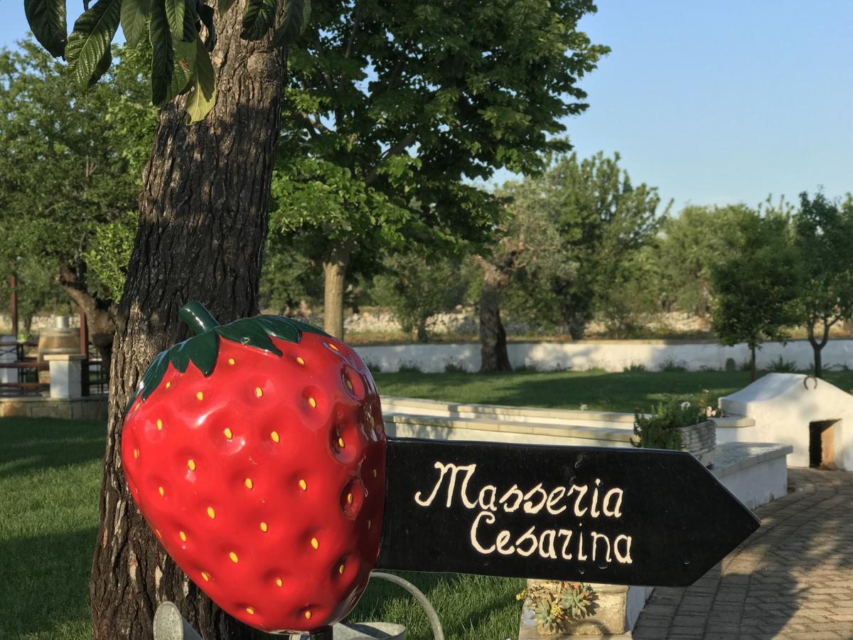 Masseria Cesarina B&B カステッラーナ・グロッテ エクステリア 写真
